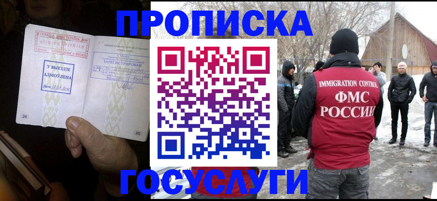 прописка поиск в Соколе